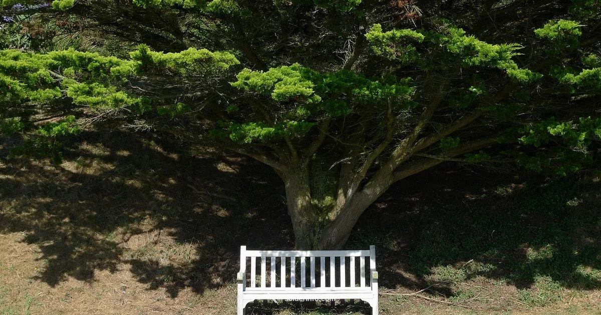 Outdoor Soldering Guide Outdoor Soldering Guide - SolderInfo