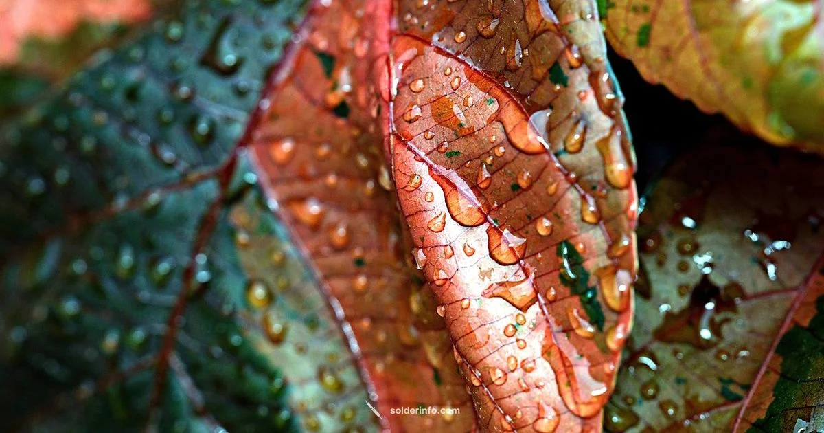 Wet Copper Soldering - SolderInfo